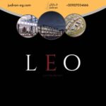 مول ليو تاور العاصمة الإدارية Leo Tower New Capital